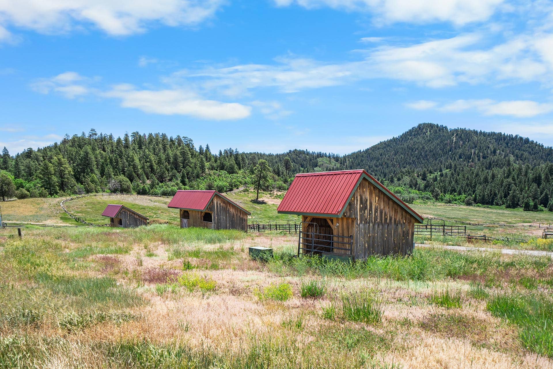 Wooden barns with red roofs in a grassy field, with forested hills and a blue sky.