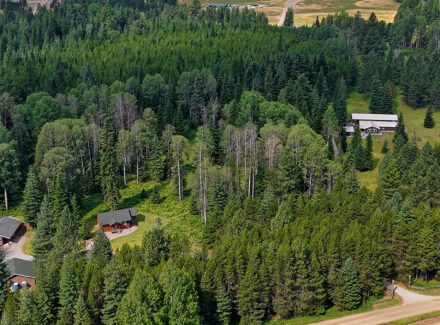 Aerial view of a dense forest with several houses and a winding dirt road running through trees.