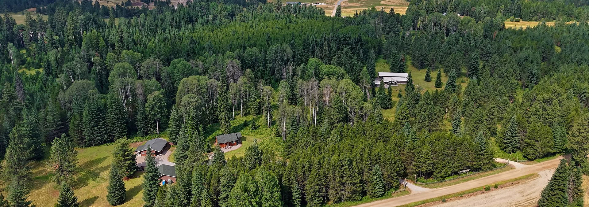 Aerial view of a dense forest with several houses and a winding dirt road running through trees.