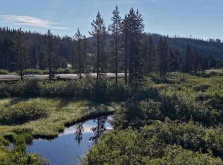 montana fishing property for sale Lost Trail Ski Hill Retreat