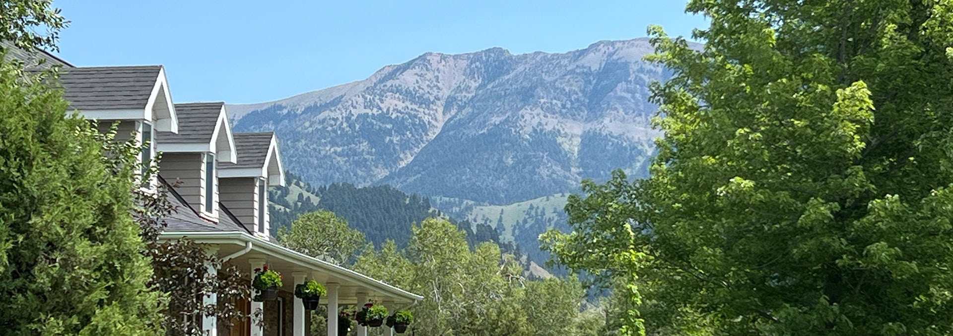 montana horse property for sale middle cottonwood homestead
