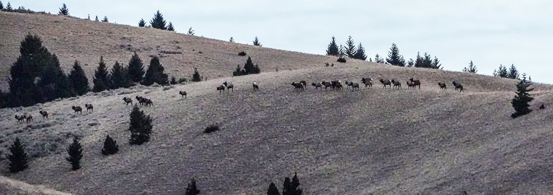 montana hunting property for sale running j ranch