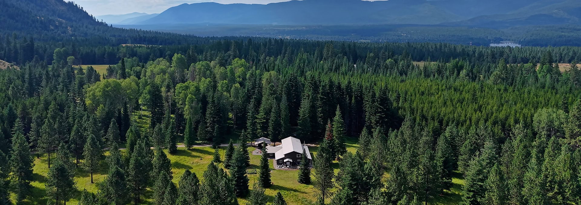 Aerial view of a single house nestled in a dense pine forest with mountains in the distance.