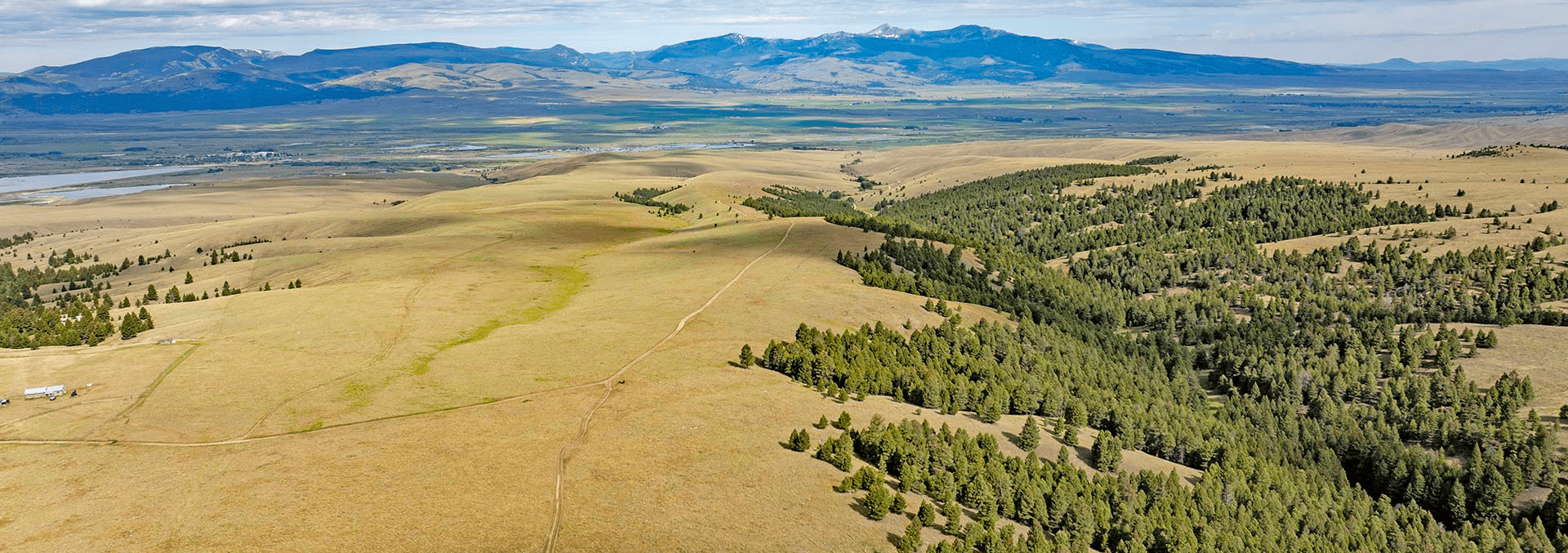 montana property for sale spotted dog retreat