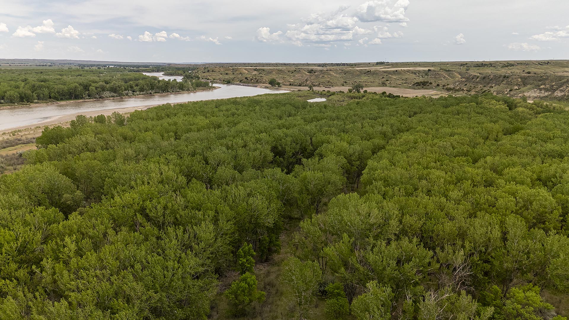 montana waterfowl hunting property yellowstone trail river ranch