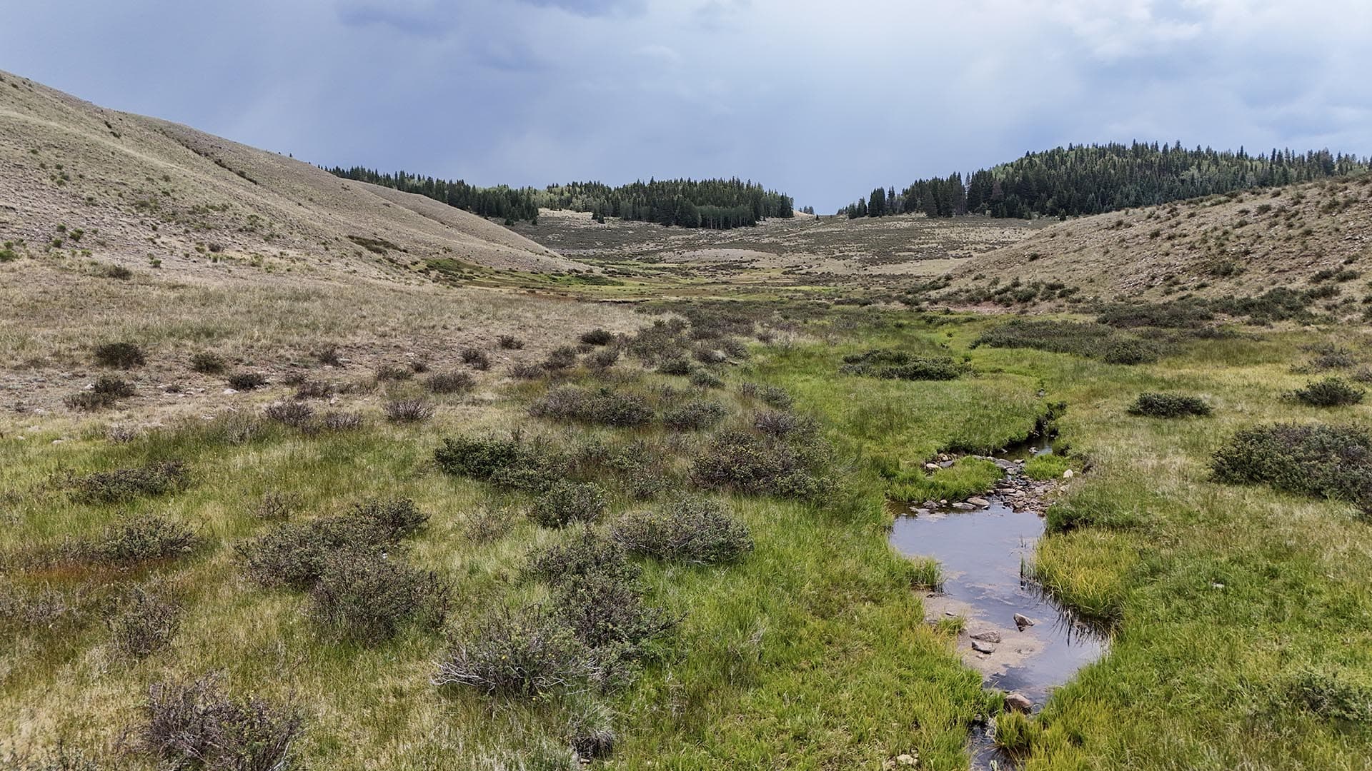 Wide valley with grassy foreground, low shrubs, a small stream, and hills capped by a forest under a cloudy sky.
