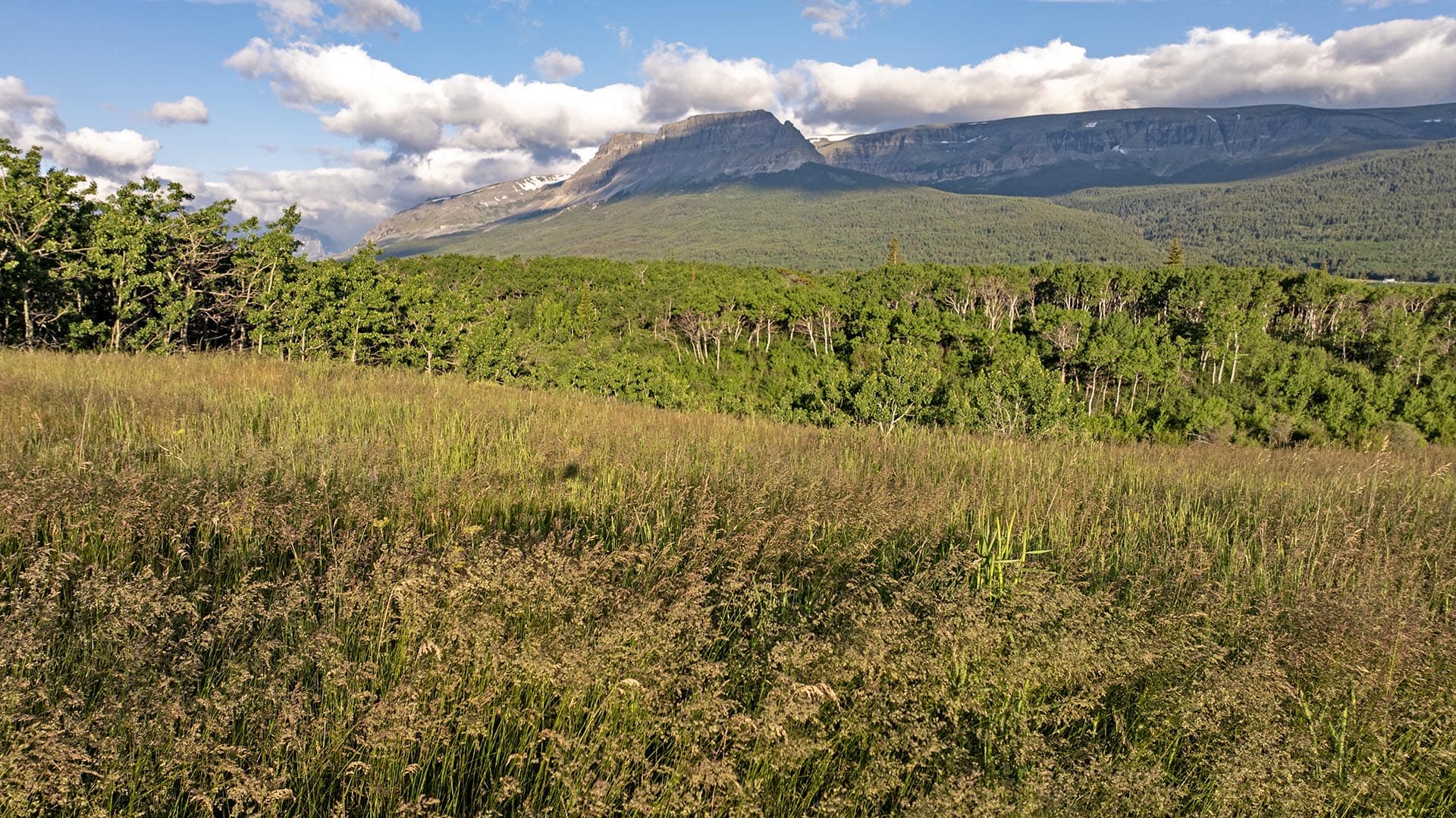 mountain meadow for sale montana st. mary overlook