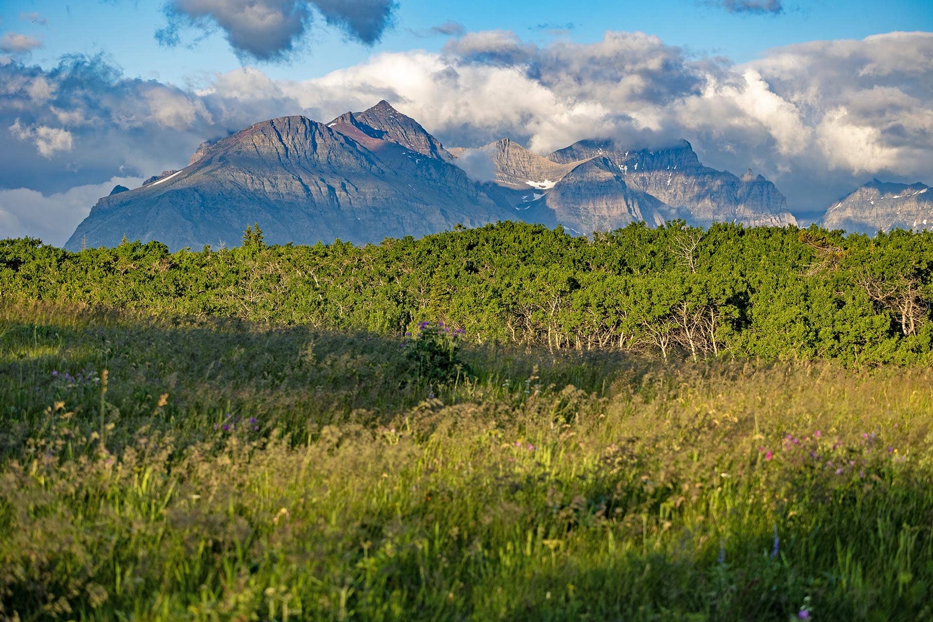 mountain meadow land for sale montana st. mary overlook