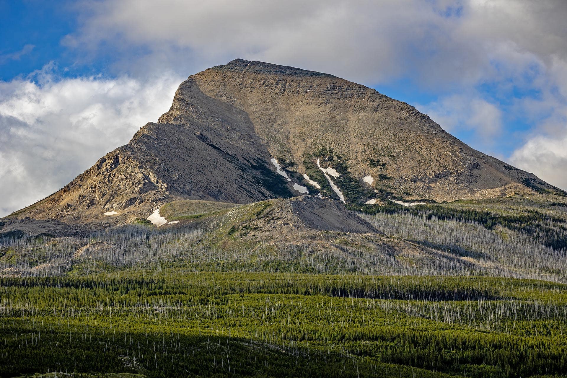 mountain peak timbered land for sale montana st. mary overlook