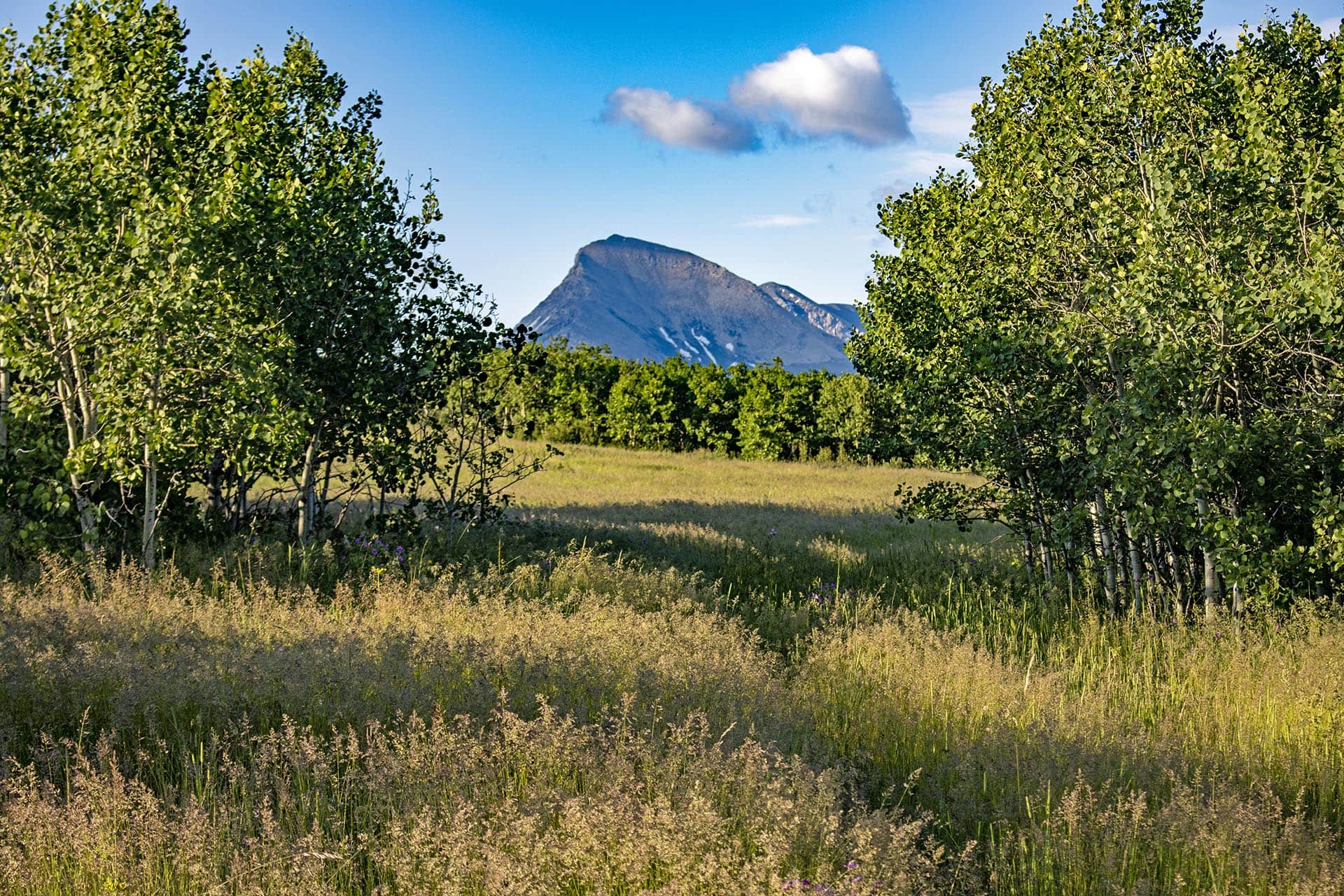mountain peak view land montana st. mary overlook