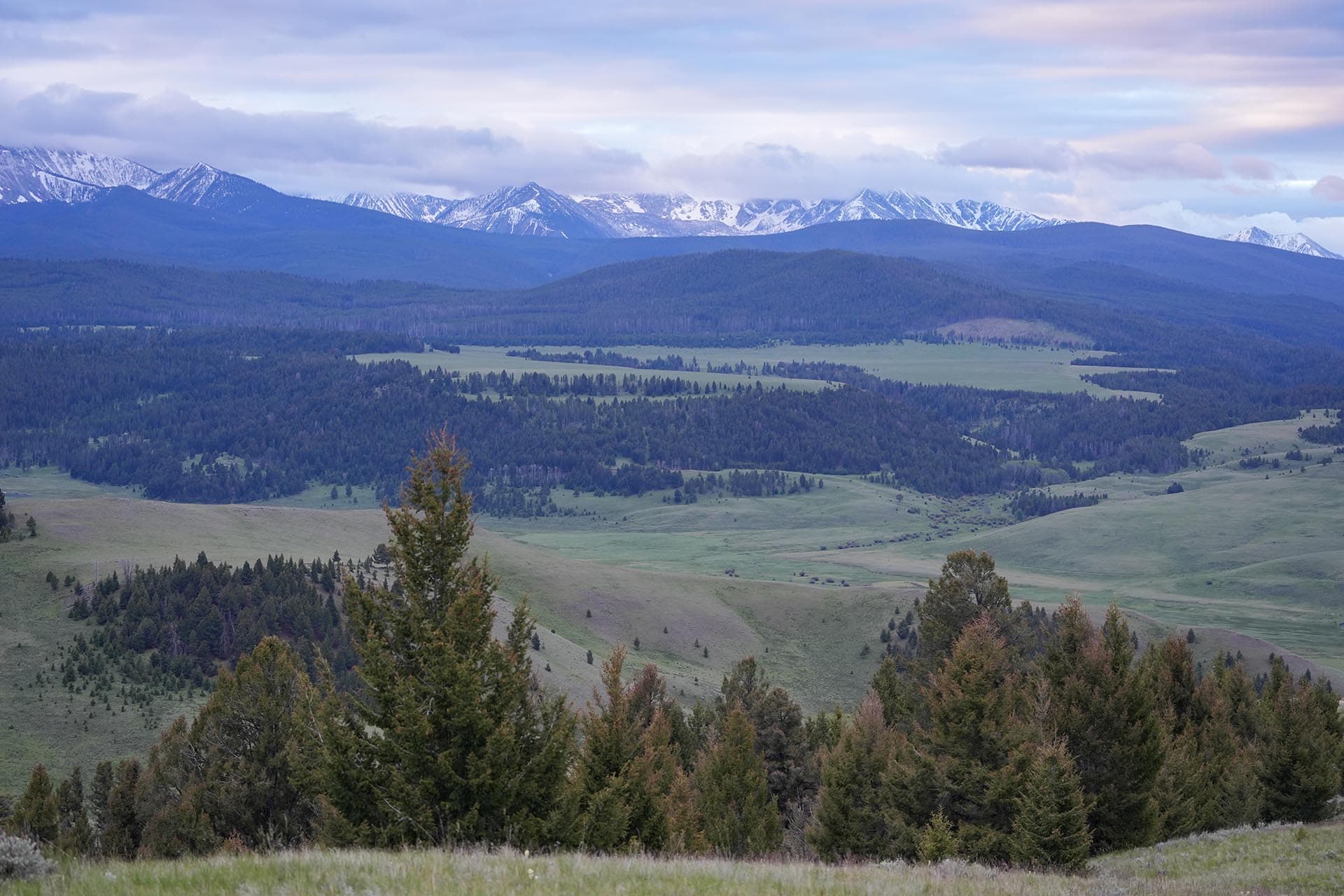 Snow-capped mountain range above forested hills and open meadows under a cloudy sky.