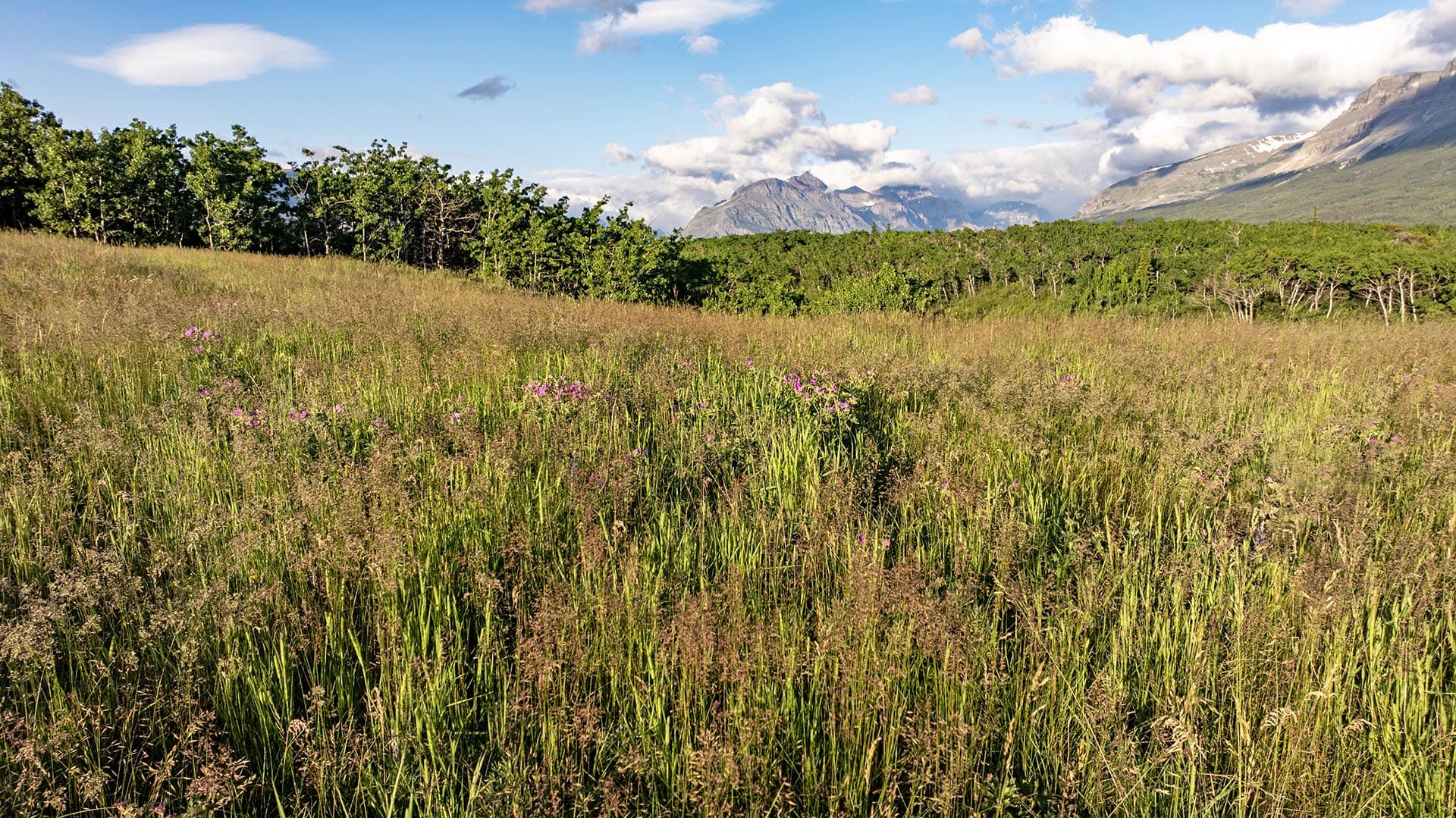 mountain view land for sale view montana st. mary overlook