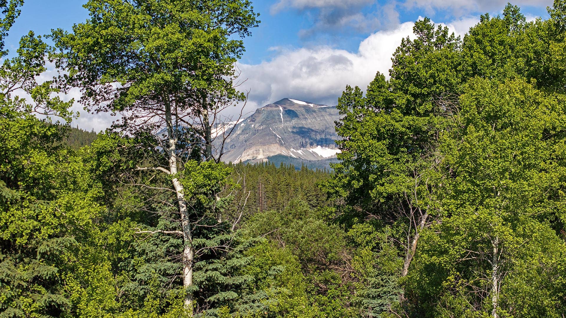mountain view land montana cutbank creek fishing retreat