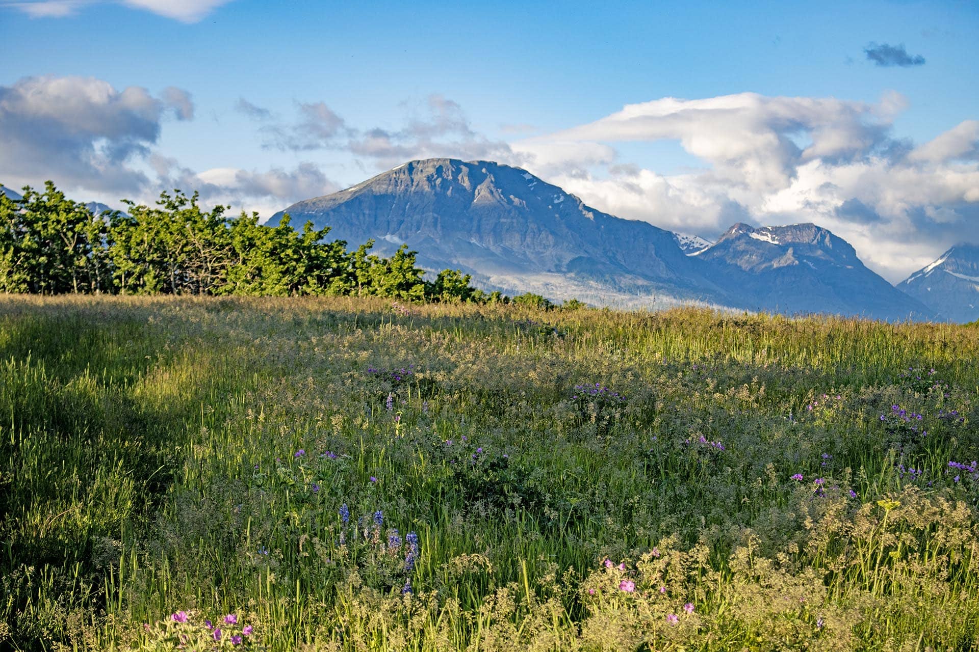 mountain view meadow land for sale montana st. mary overlook