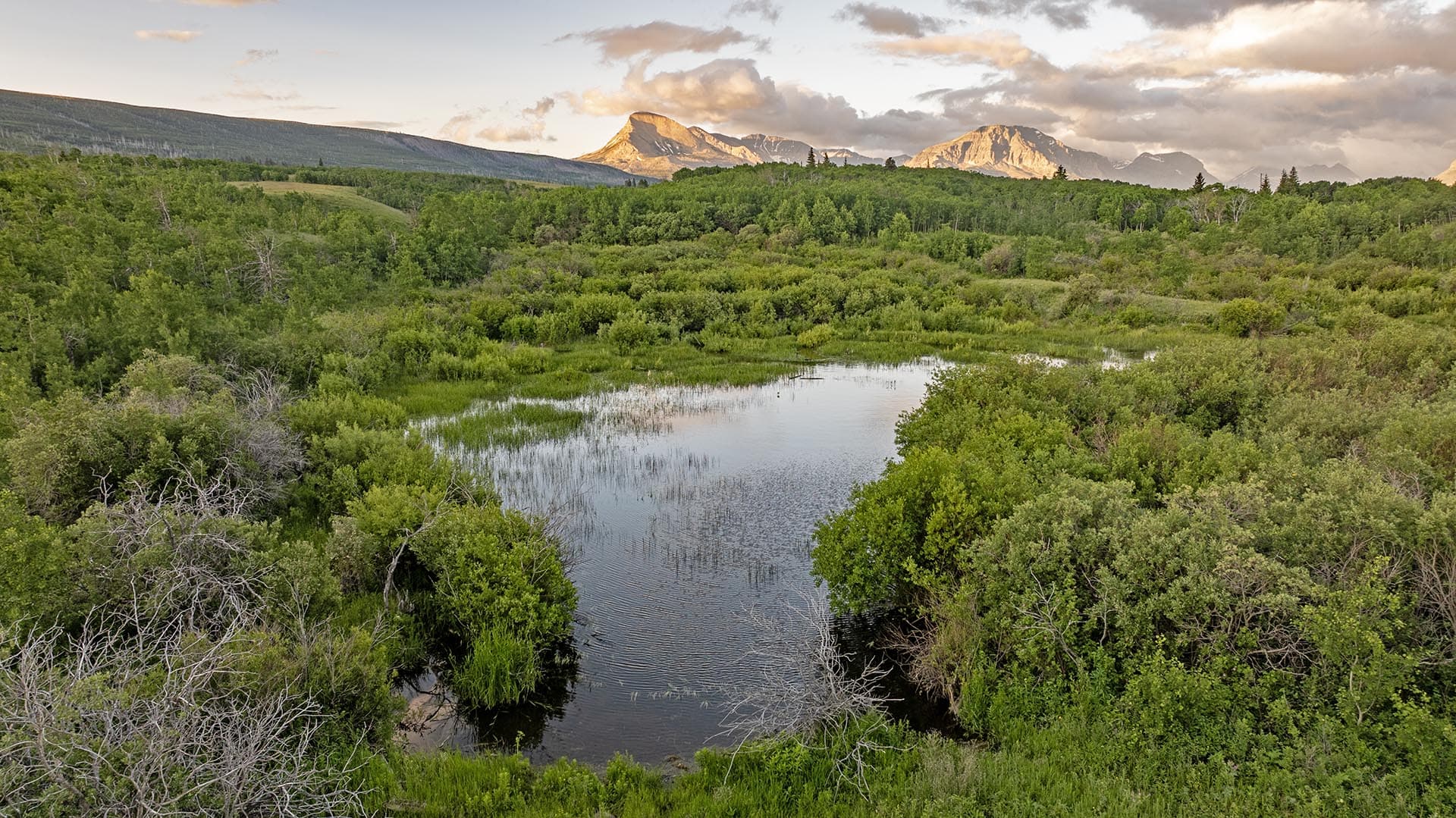 mountain view meadow land for sale montana st. mary overlook