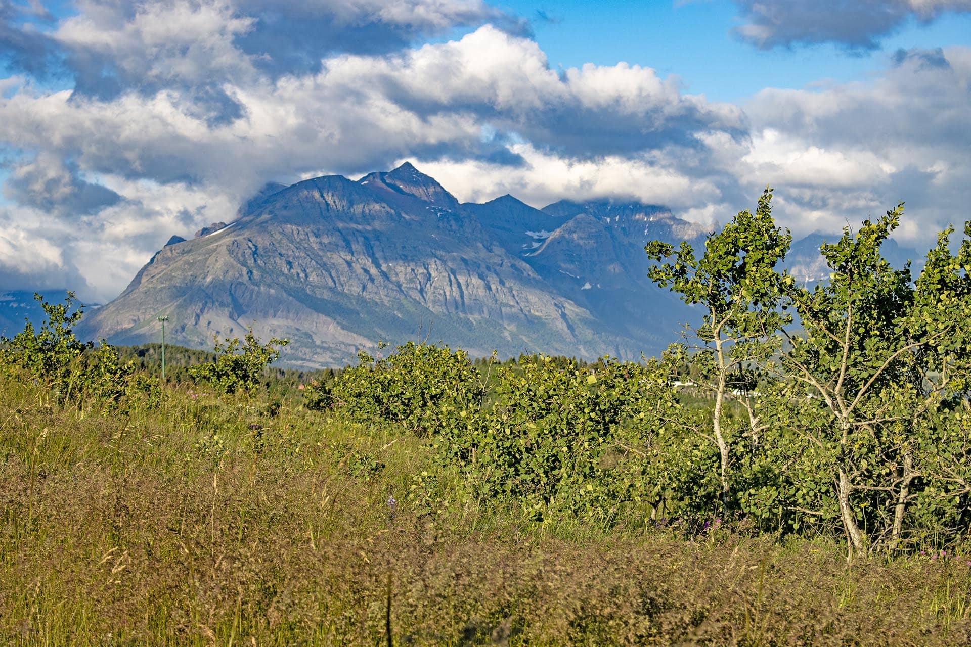 mountain view property land for sale montana st. mary overlook