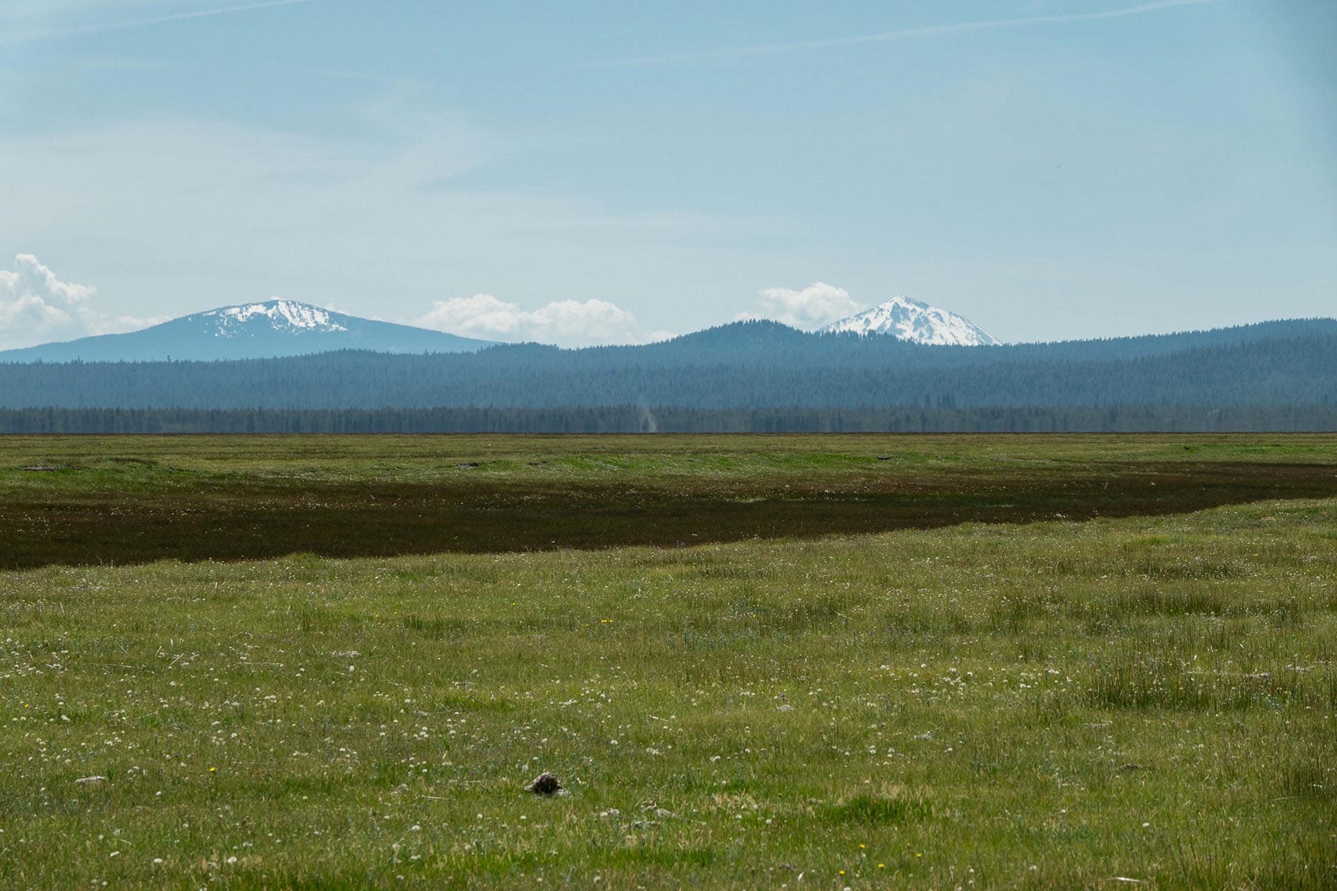 mountains timber meadow oregon bar y ranch & pivots
