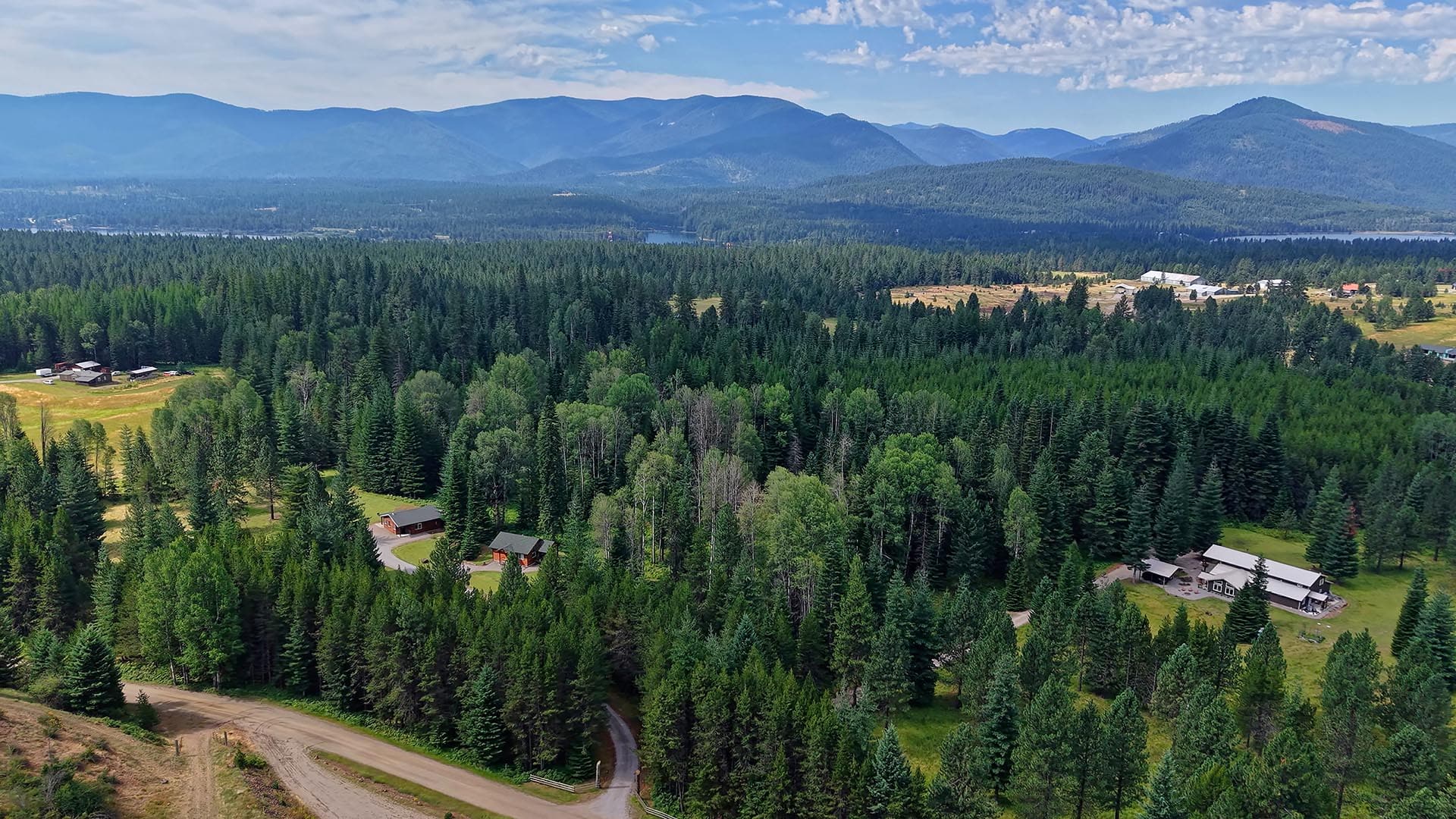 Aerial view of a dense evergreen forest with scattered houses and a winding road, mountains on the horizon.