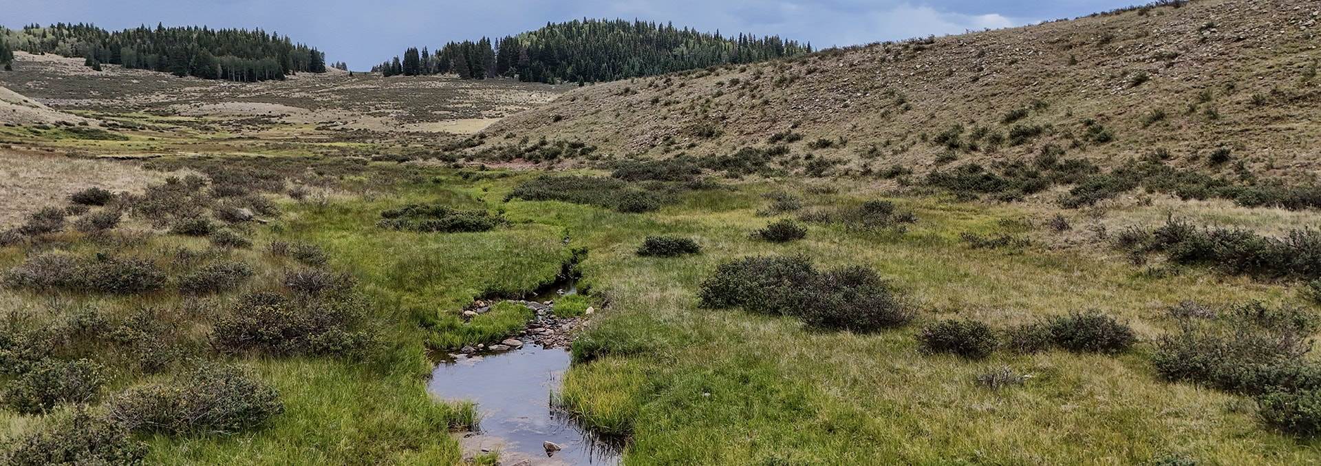 new mexico land for sale yonderosa wilderness ranch