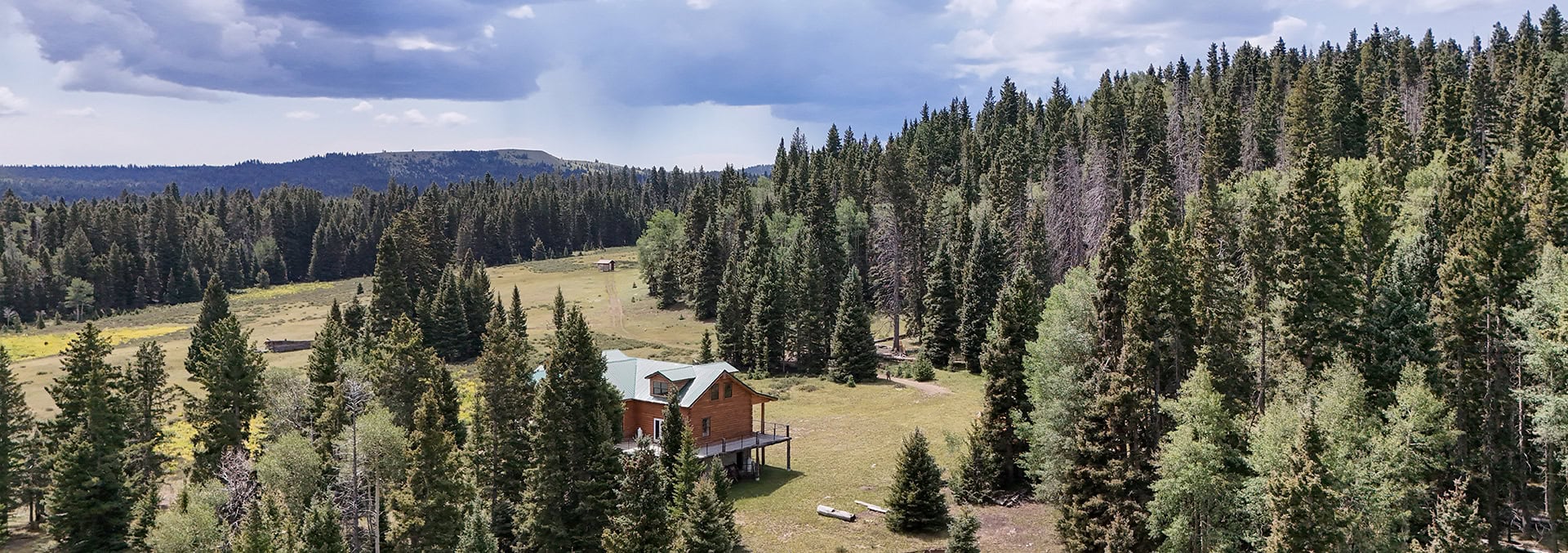 Wooden cabin with a green roof in a sunlit clearing, surrounded by tall pine trees under a cloudy sky