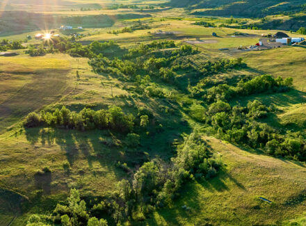 north dakota ranch for sale buffalo gap sporting ranch