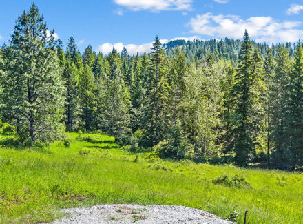 north idaho hunting property for sale gold cup 40