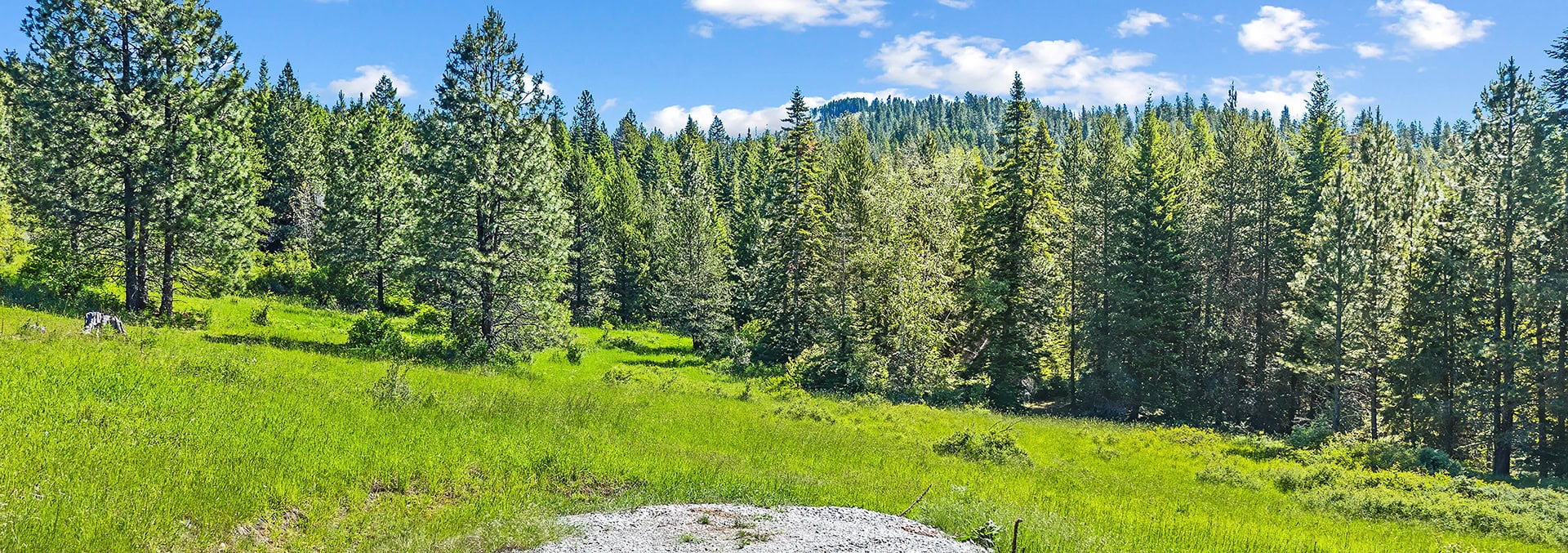 north idaho hunting property for sale gold cup 40