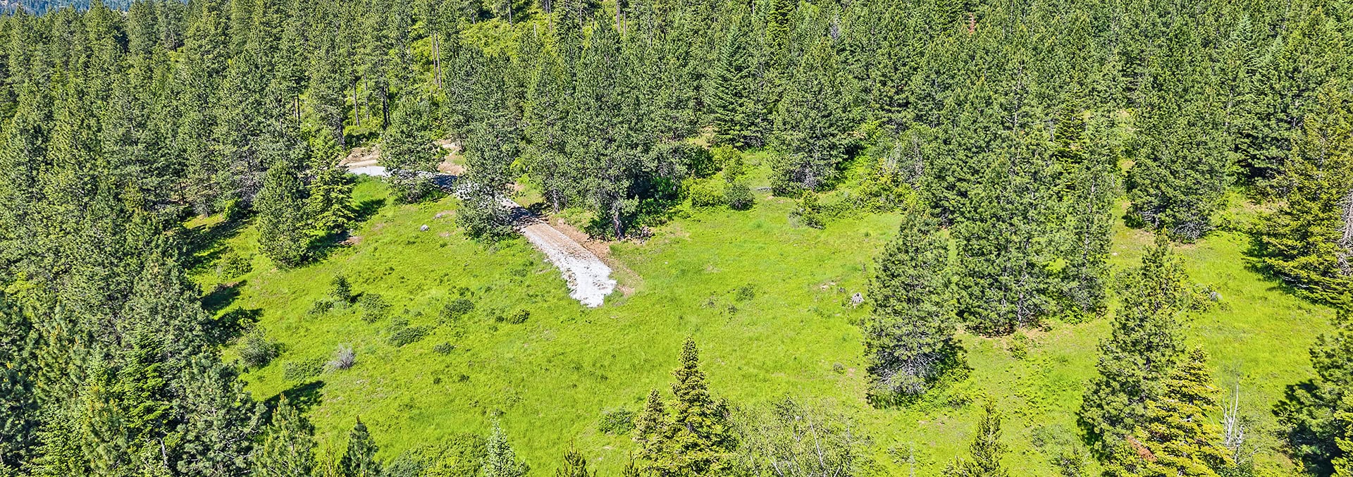 north idaho timber land for sale priest river gold cup 40