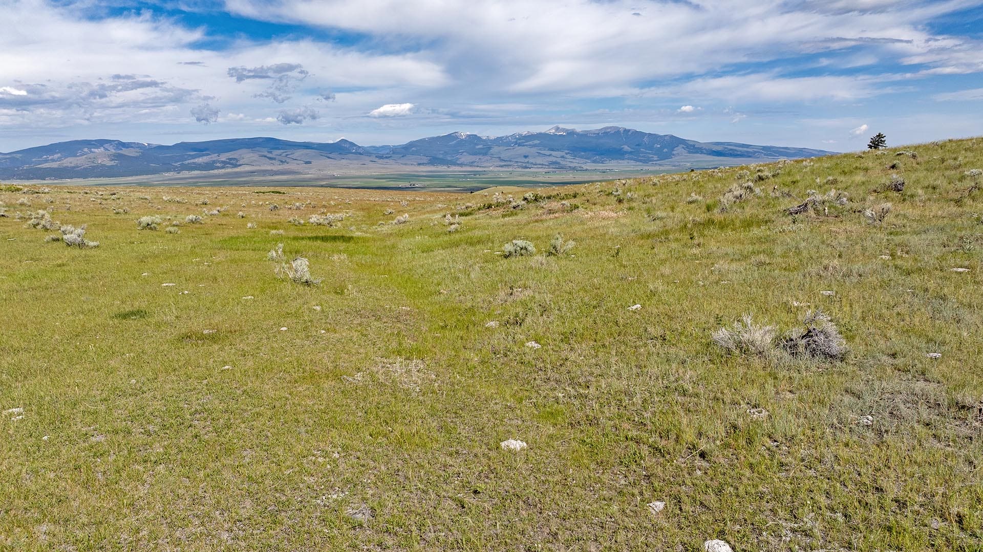 open pasture land with mountain views montana spotted dog retreat