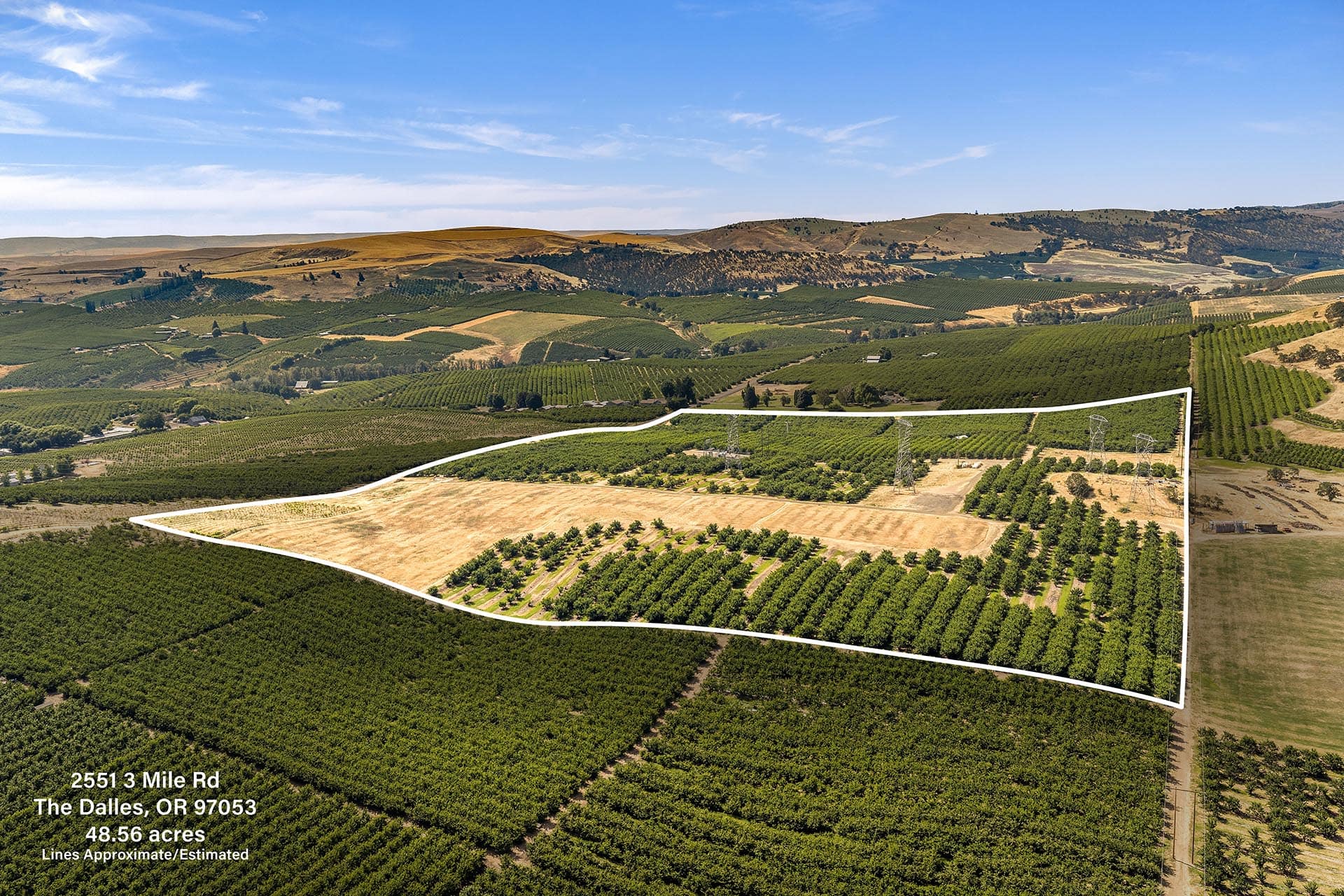 Aerial view of a large agricultural parcel outlined in white, with tree rows and surrounding fields and hills in the distance, showing the property boundary and landscape.