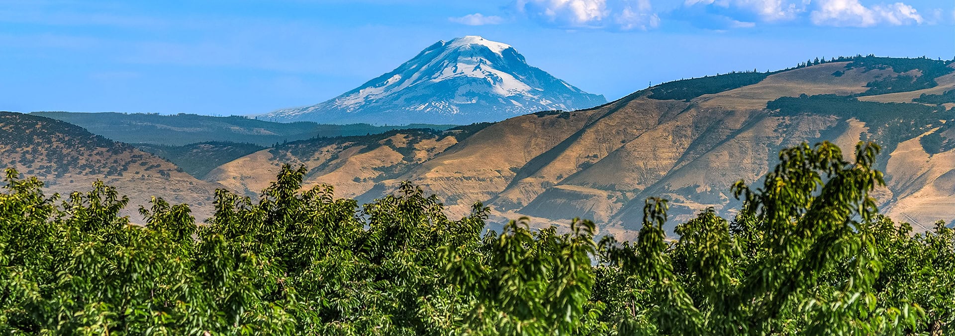 Snow-capped mountain rising behind rolling brown hills with green trees in the foreground, under a blue sky.