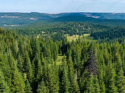 oregon land for sale m5 land co