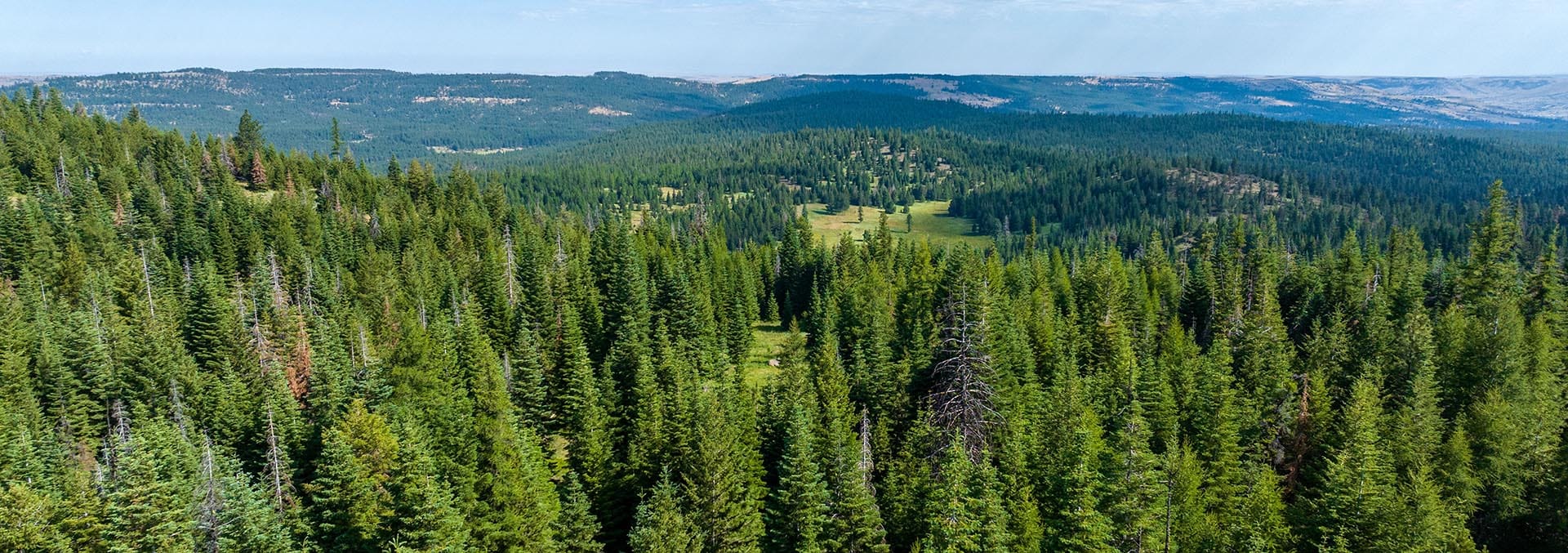 oregon land for sale m5 land co