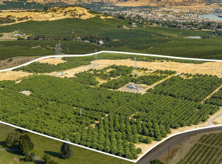 Aerial view of a large rural parcel outlined in white, showing orchards, power lines, and surrounding fields with a nearby road network.