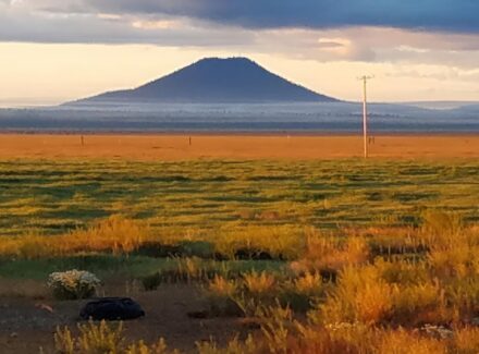 oregon ranches for sale bar y ranch & pivots