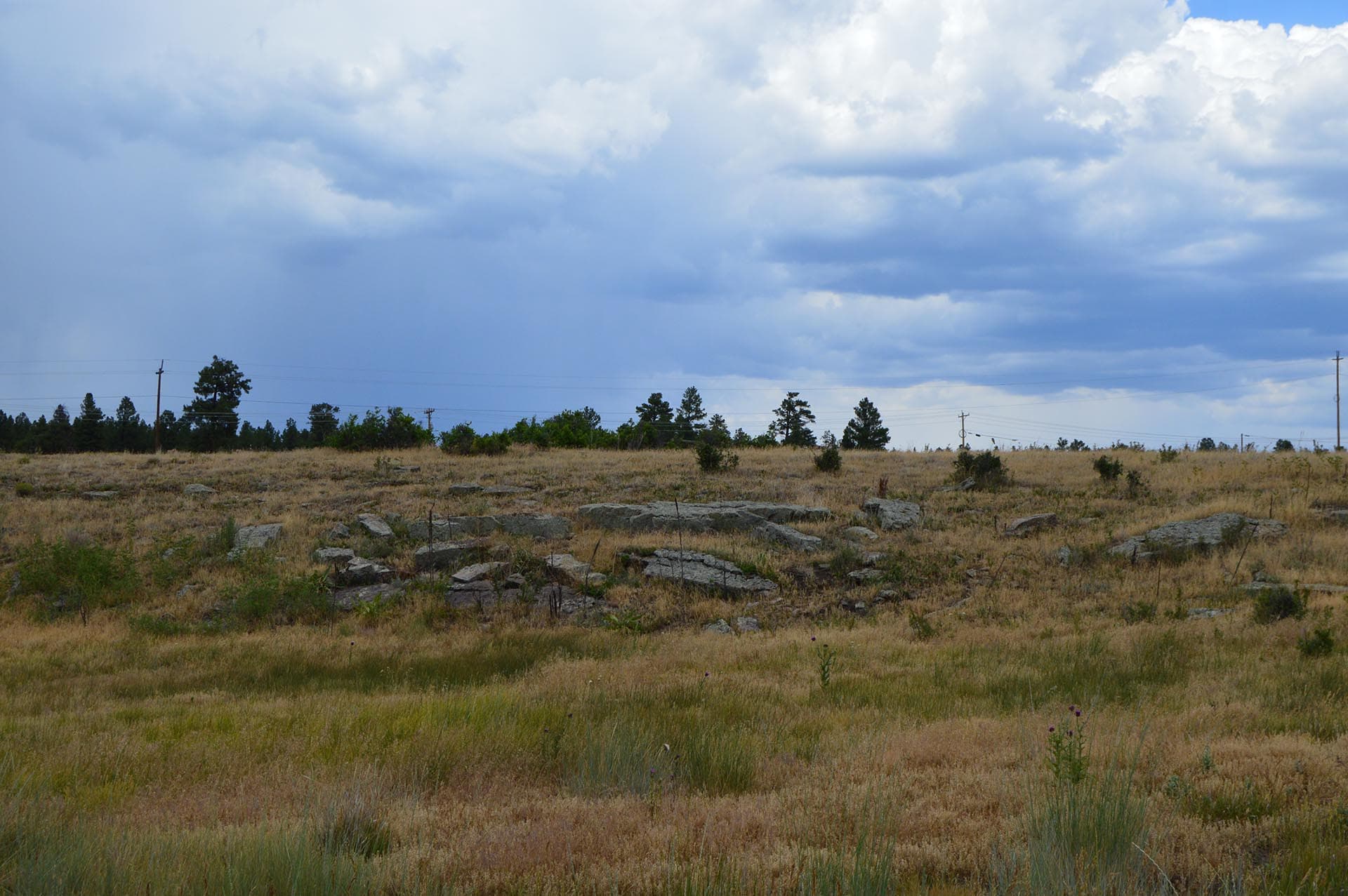 pagosa springs condos for sale colorado san juan vista ranch