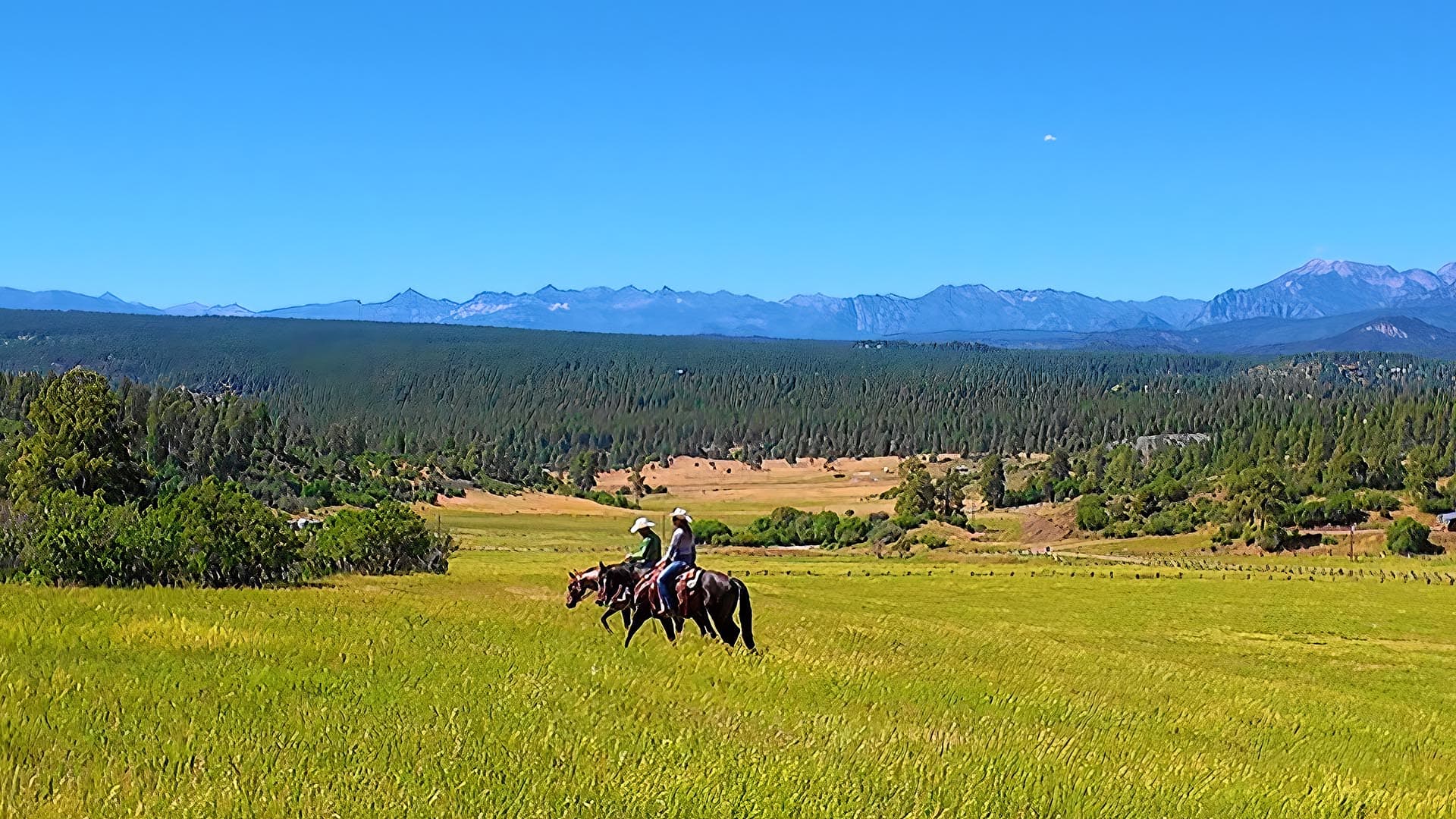 Two people ride horses across a grassy plain with a pine forest and distant mountains under a clear blue sky.