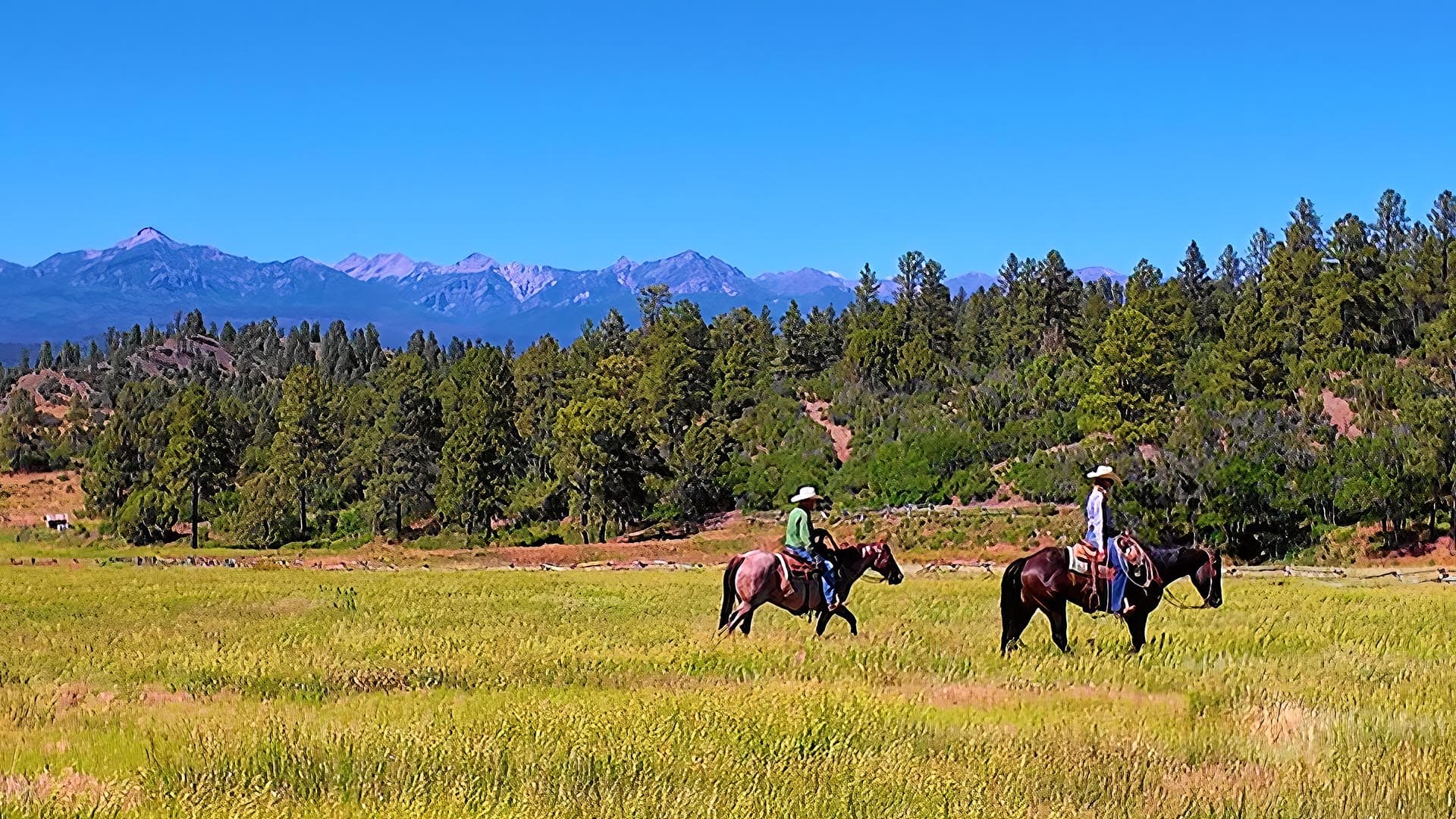 Two people on horseback ride across a grassy field toward a pine forest with a mountain range under a clear blue sky in the distance.