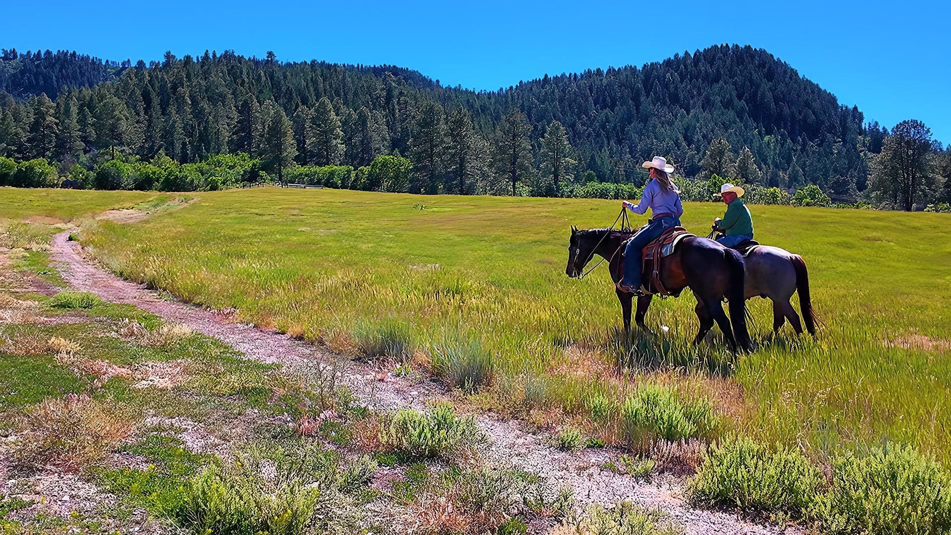 Two people on horseback ride across a grassy field, with a forested hillside and clear blue sky in the background.