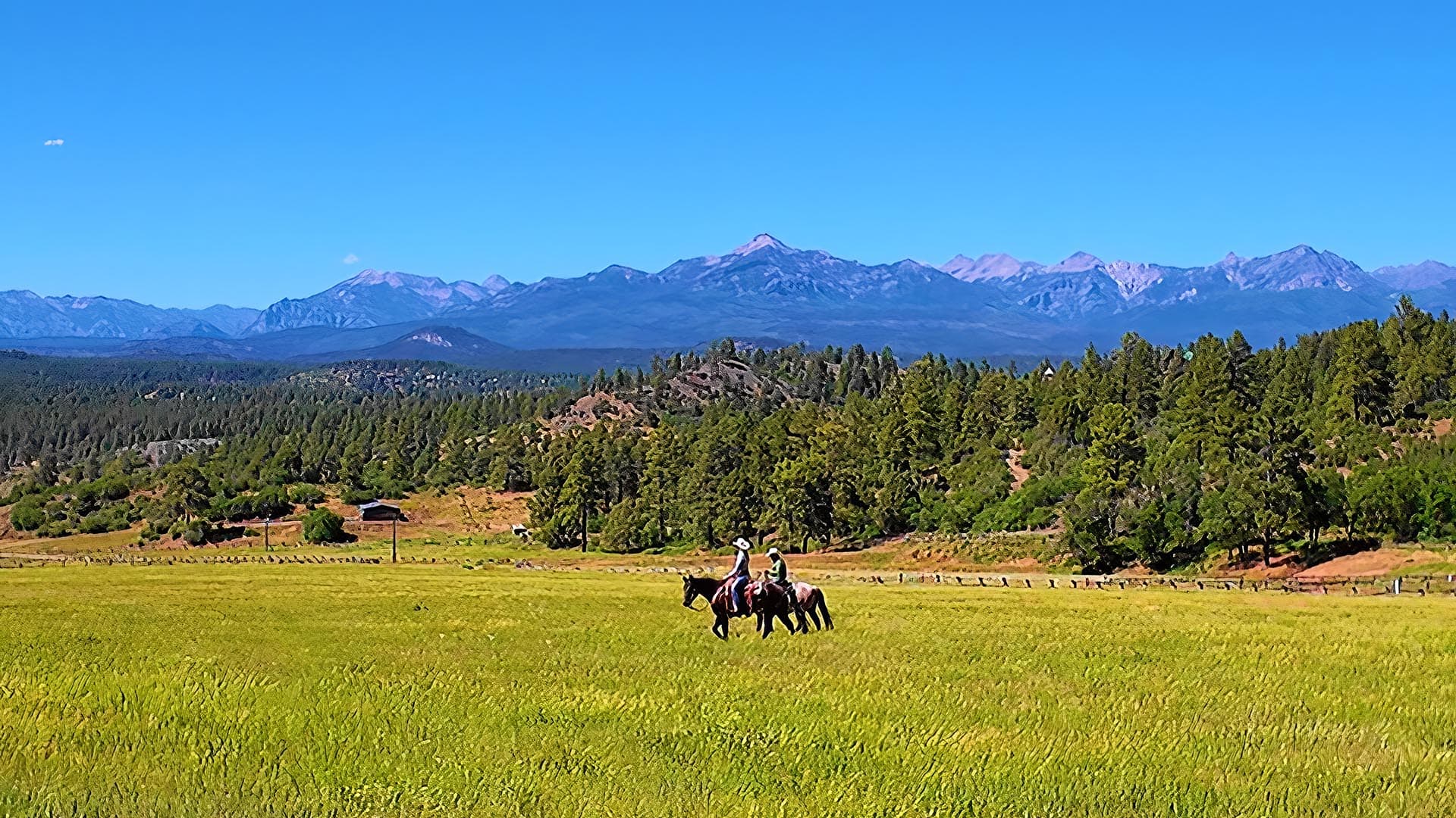 Two riders on horses traverse a grassy field with a dense forest and distant snow-capped mountains under a bright blue sky wintry scene.