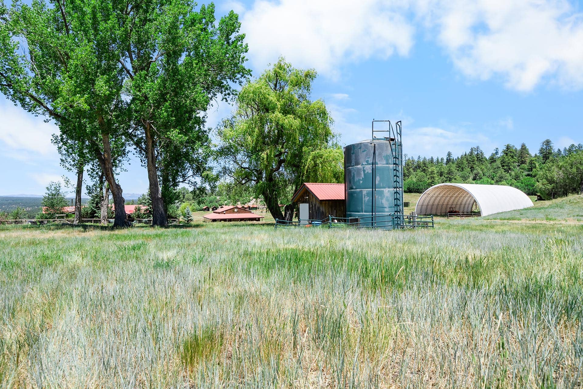 Farm scene with tall trees, a red-roofed shed, a metal silo, and a white arched shelter in a grassy field.