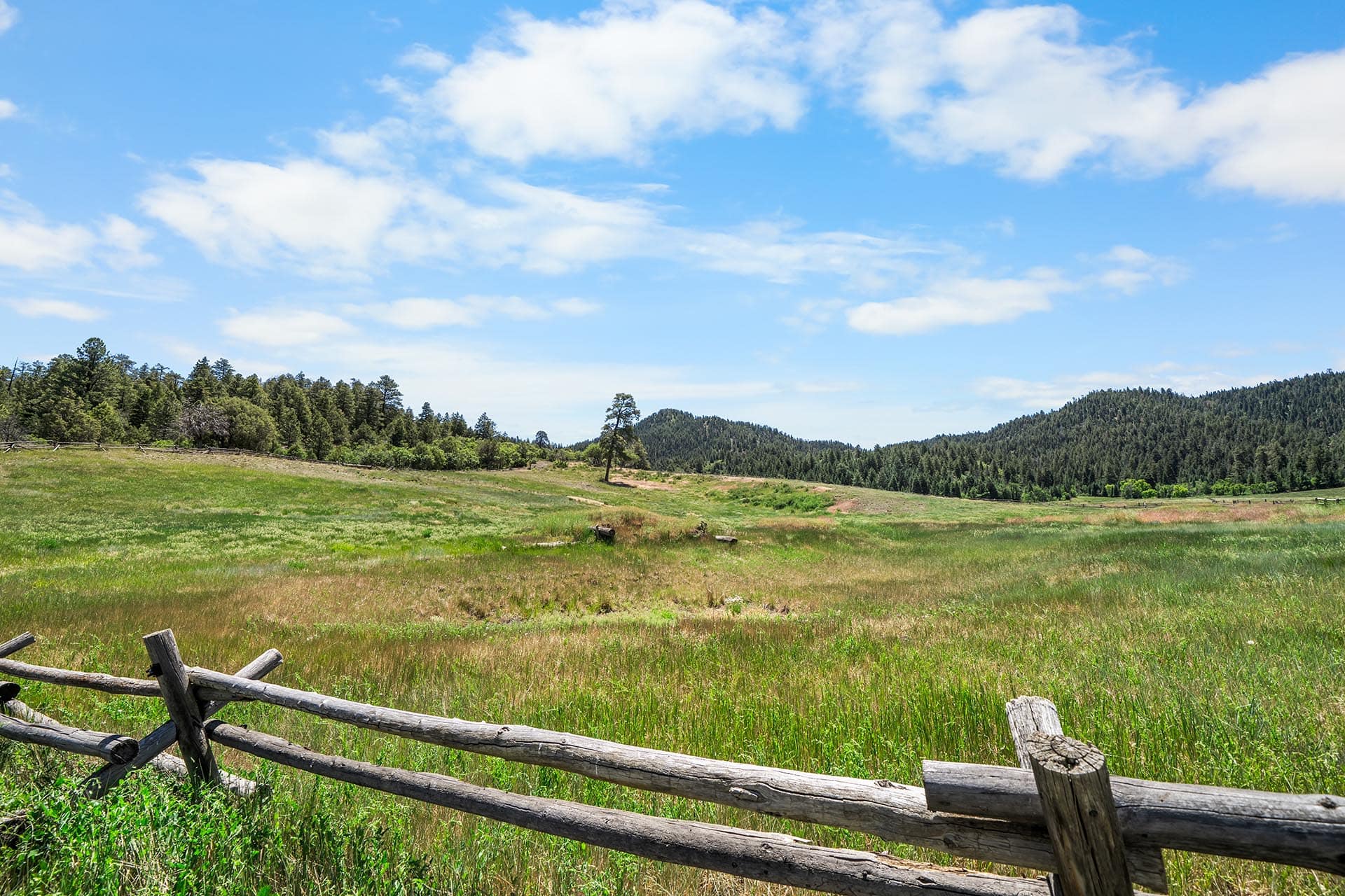 Open meadow with a weathered wooden fence in the foreground, rolling grassy hills and pine forests under a clear blue sky.