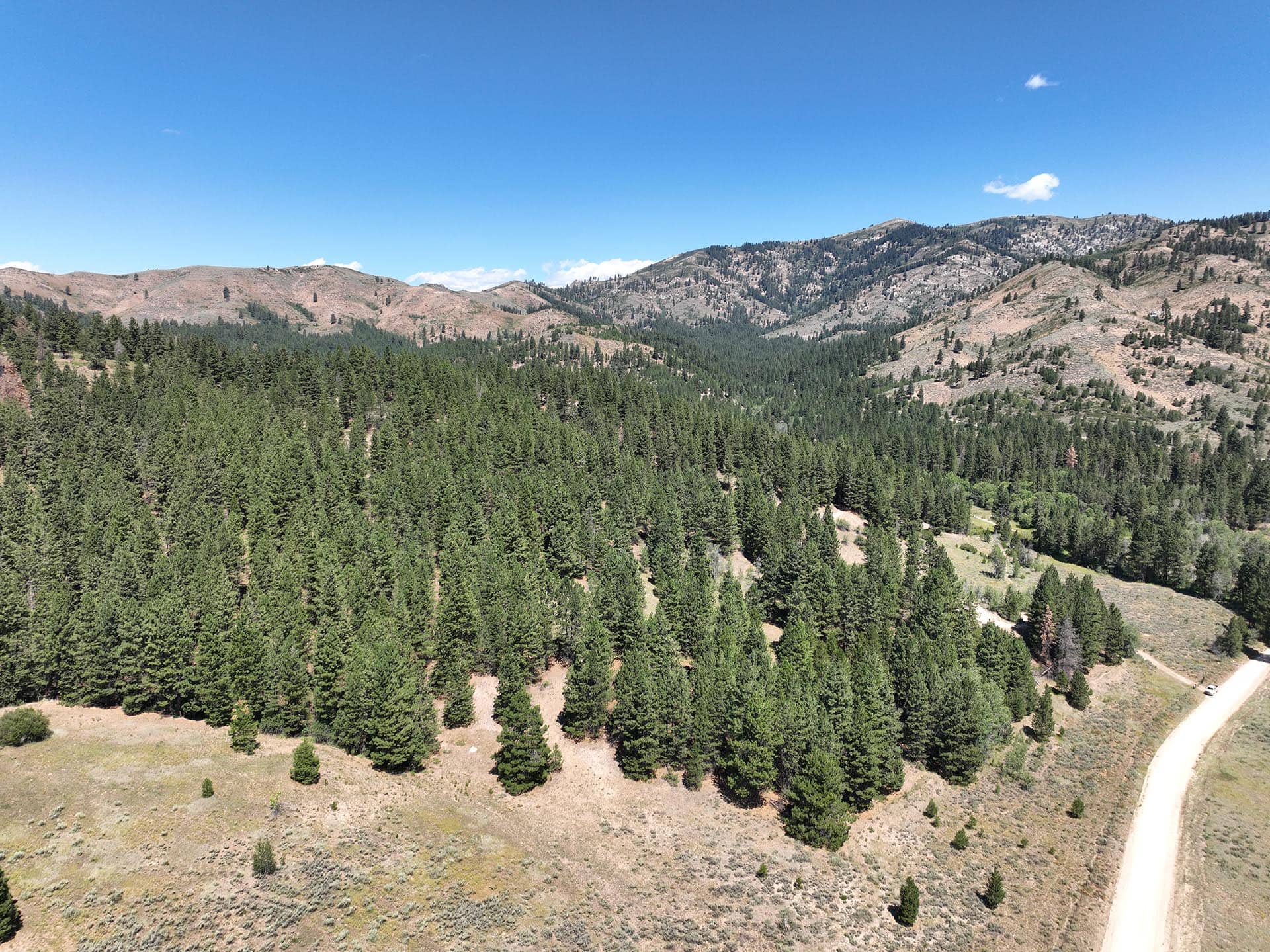 pine forest ridgeline view idaho mountain land and lots