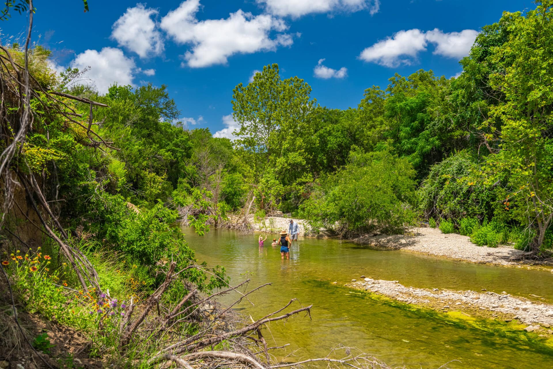 People wading in a shallow river surrounded by dense green trees under a bright blue sky.
