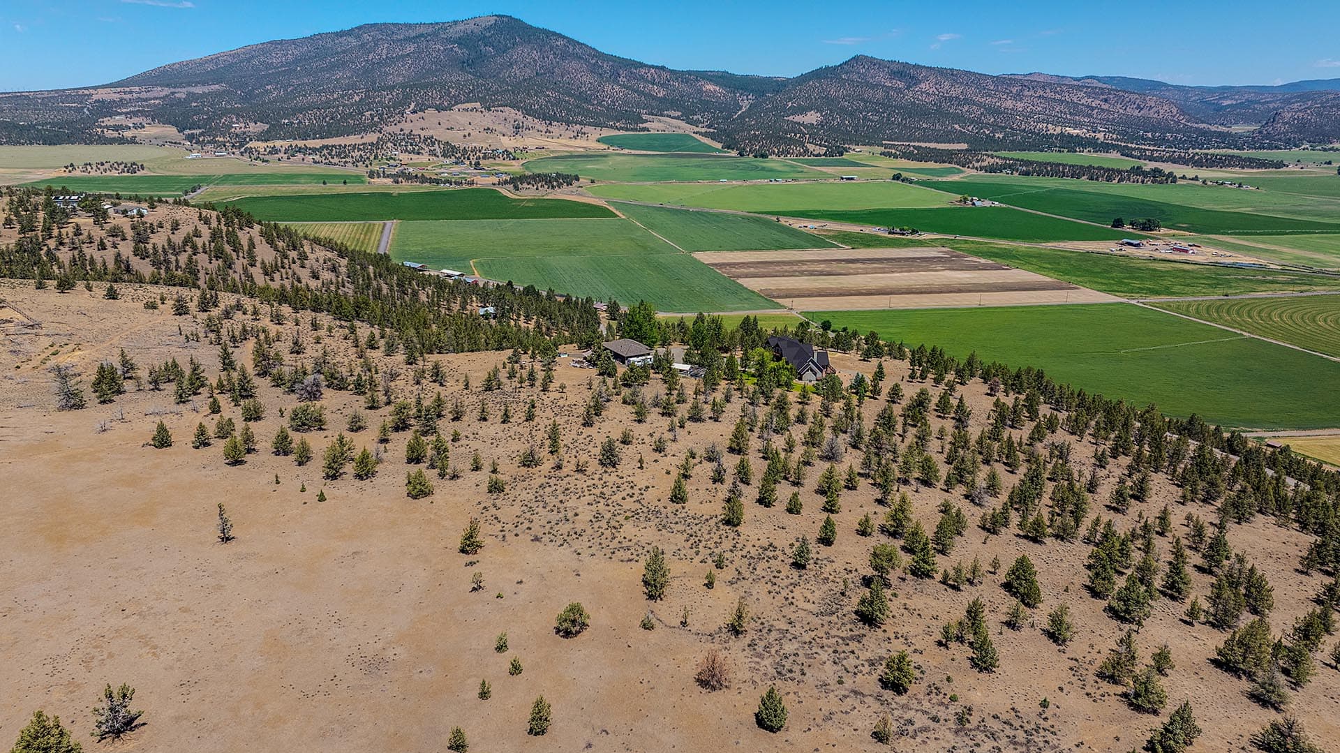Aerial view of rural farmland with patchwork green fields, a dry hillside with scattered trees in the foreground, and distant mountains.