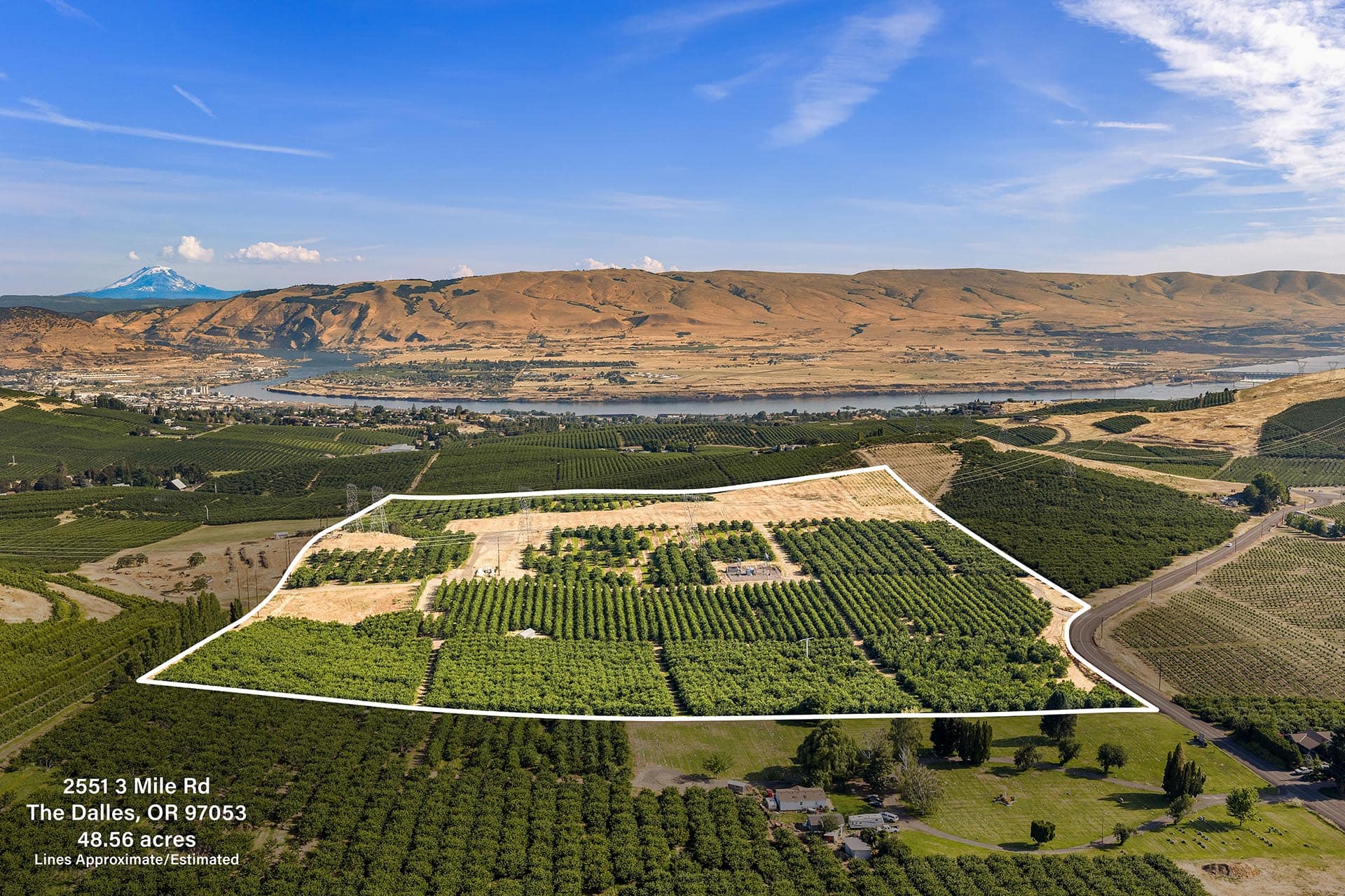 Aerial view of a large vineyard or orchard with a river and brown hills in the distance; a white boundary outlines a 48.56‑acre parcel with the address 2551 3 Mile Rd, The Dalles, OR 97053 in the corner.