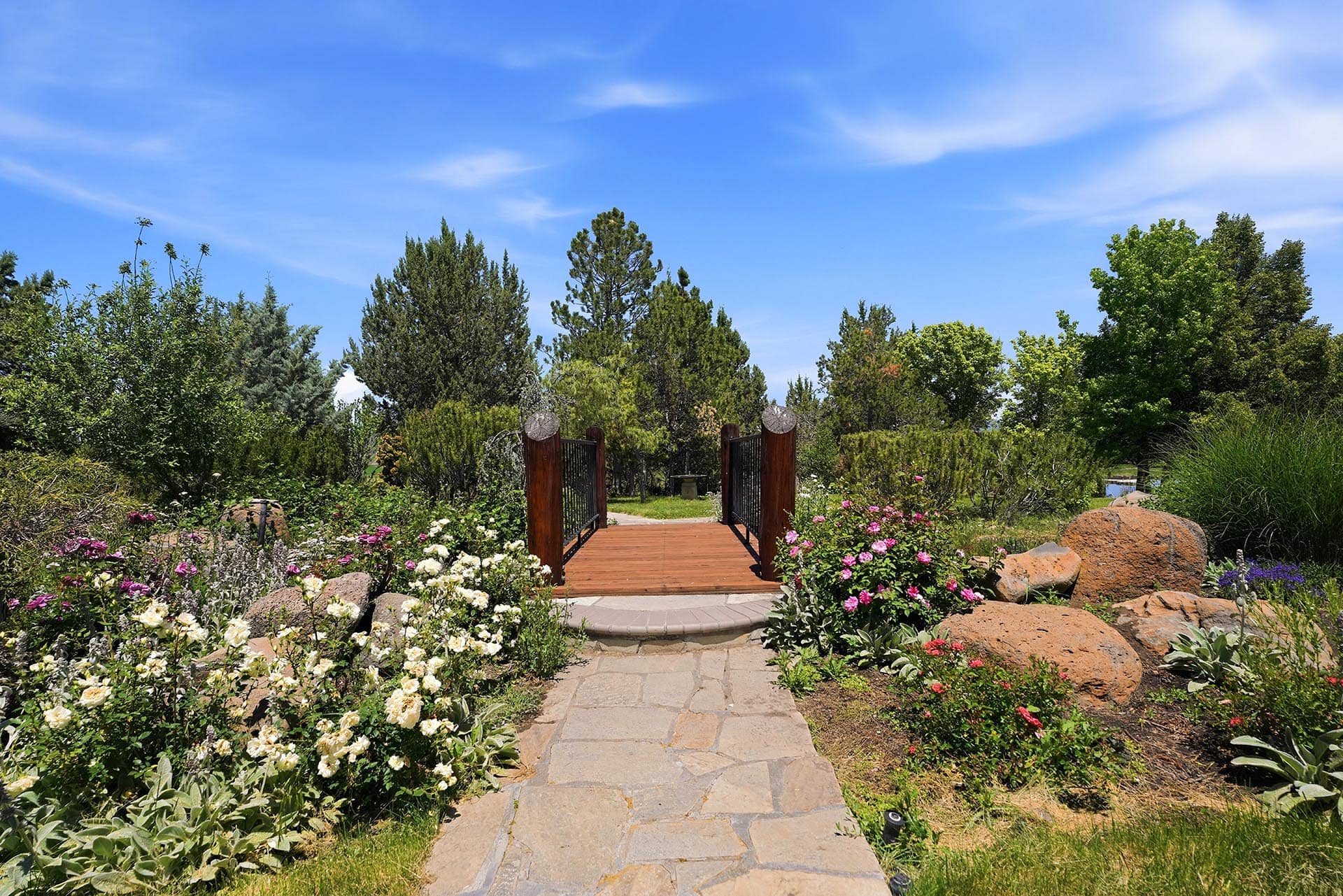 Stone pathway through a lush garden leads to a wooden gate, surrounded by blooming roses and green shrubs under a bright blue sky.