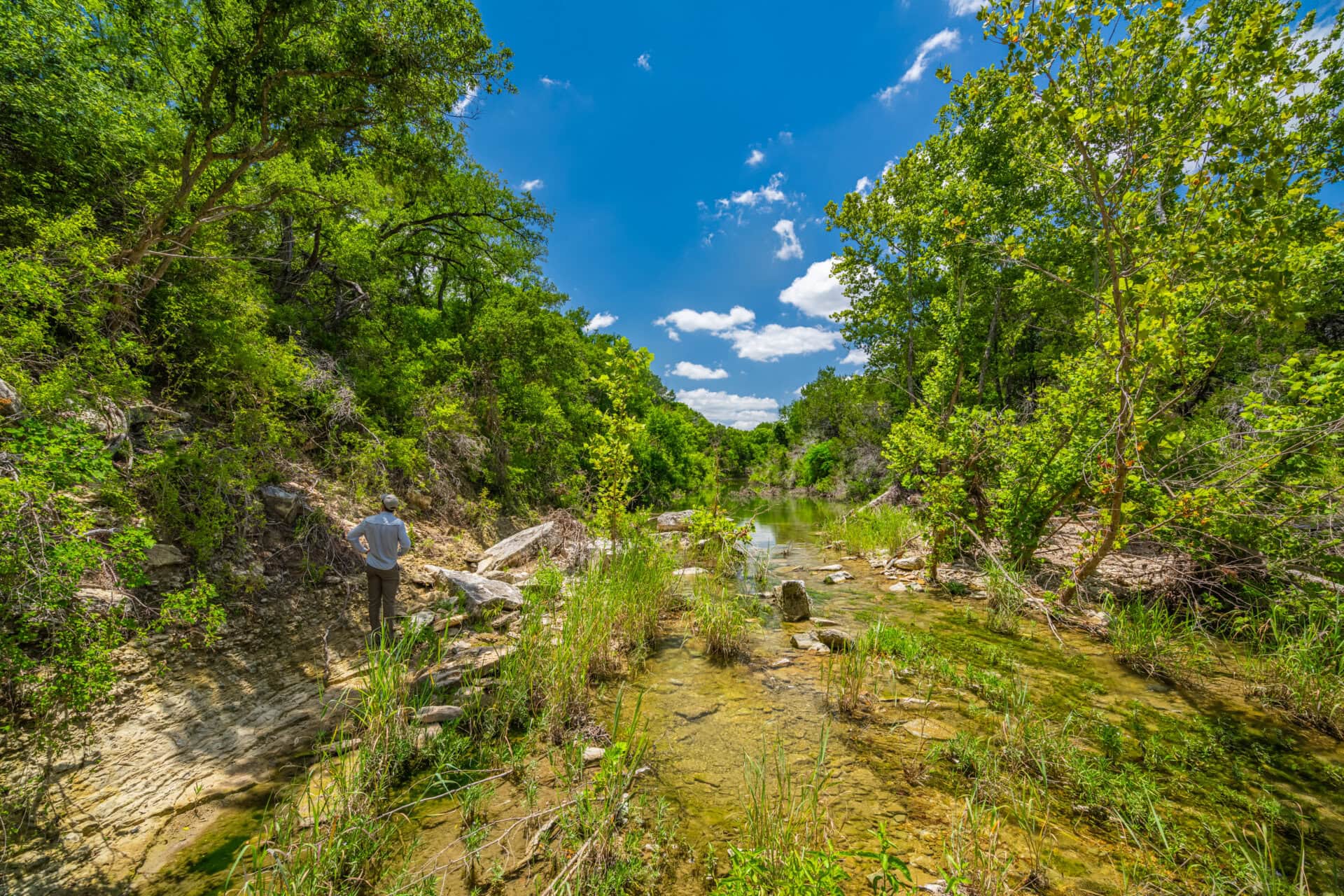 Man stands on a rocky riverbank beside a shallow, clear stream amid dense green trees under a bright blue sky.