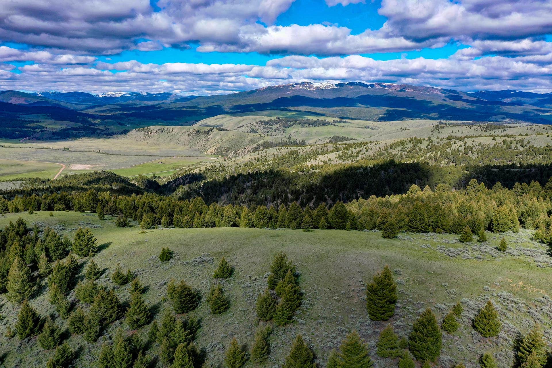 Wide valley with rolling hills, pine forests, and distant snow-capped mountains under a partly cloudy blue sky, viewed from above.