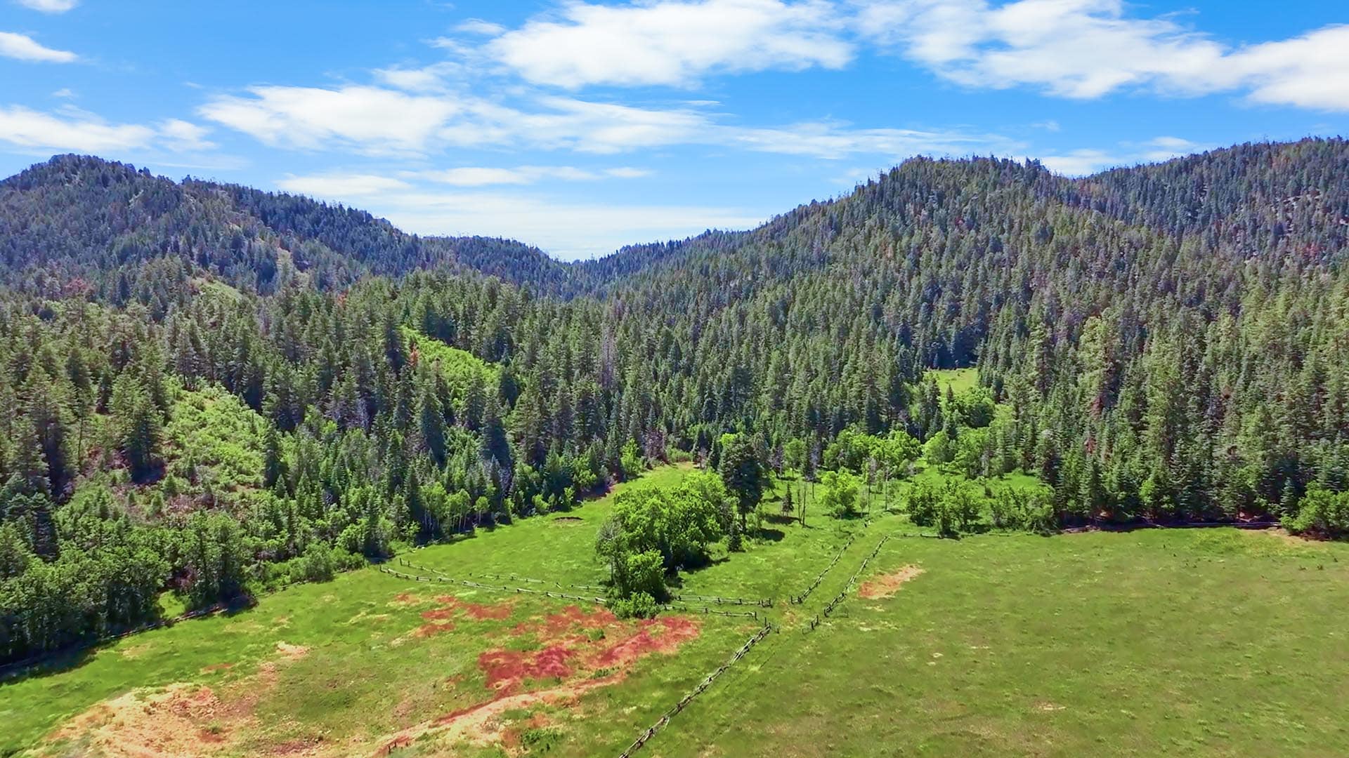 real estate pagosa springs co colorado pagosa peak horseman’s retreat